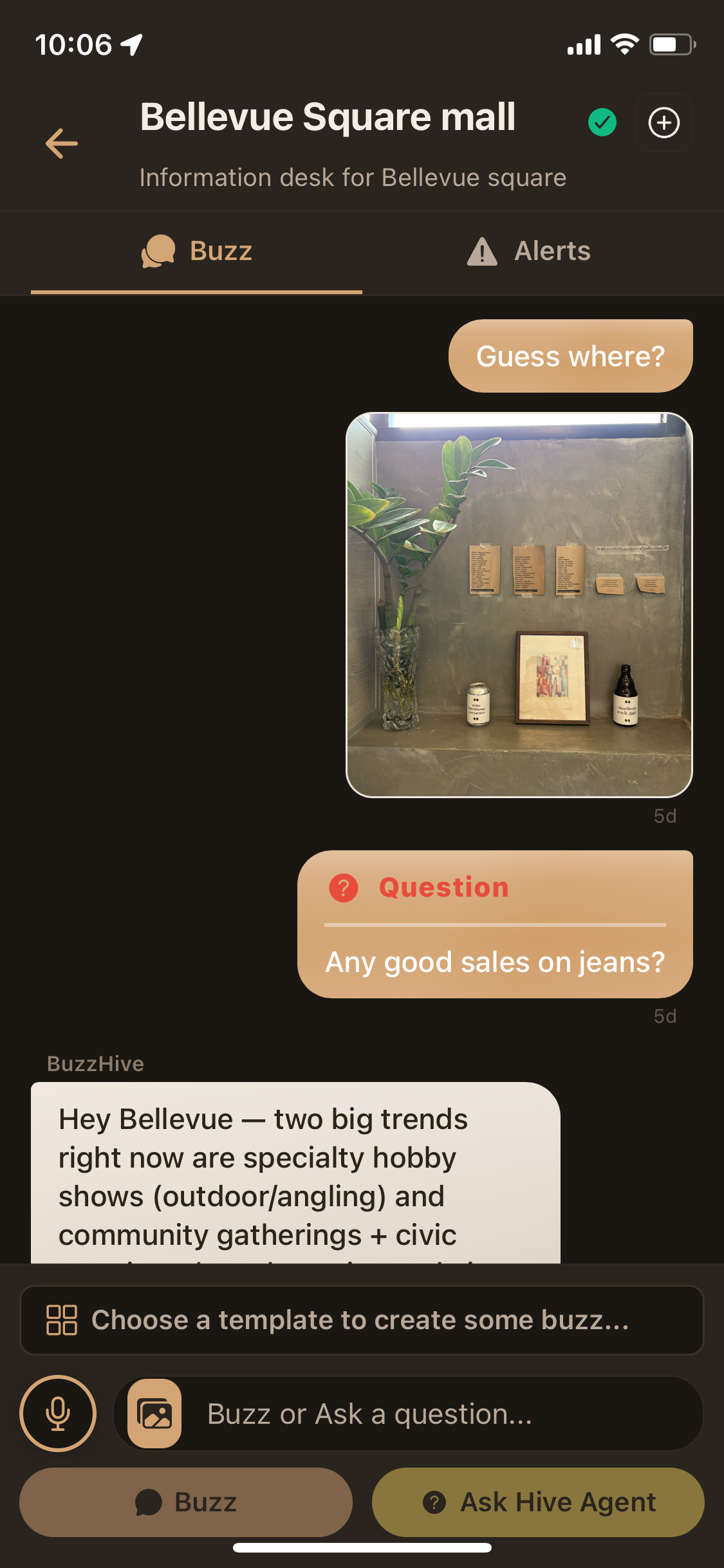 Hive Page with Buzzes and Alerts